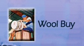 Wool Buy